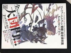 Fire Emblem Awakening Model Sheets Knights Of Iris Concept Art Book JDM MINT