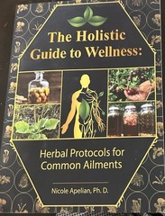 The Holistic Guide to Wellness : Herbal Protocols for Common Ailments – pape…