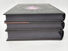 UNREAD LitJoy Classics Gothic Box Set Dracula Poe Dorian Gray Special Editions