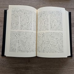 Pearl Buck 大地 The Good Earth Vol 1-2 Japanese HC Slipcase Set 1977 Complete VTG