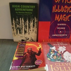 Lot of 10 Mixed Random Children’s Books and Young Adult Novels, Classic Stories