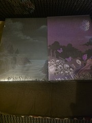 Mystic Box *SIGNED * Nocticadia & Master of Salt and Bones by Keri Lake W/Prints