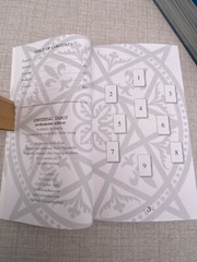 Universal Tarot Professional Edition Lo Scarabeo (English) 78 Card Set Book