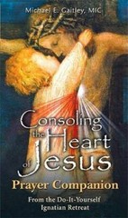 Consoling the Heart of Jesus: Prayer Companion From the Do-It-Yourself Ig – GOOD