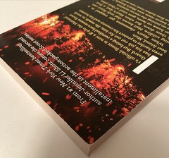 Scout Ser.: Scout: Firefighter by Jennifer Li Shotz (2018, Trade Paperback)