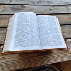 HOLY BIBLE ROYAL SOVEREIGN WORLD KJV BURGANDY GENUINE BONDED LEATHER RED LETTER