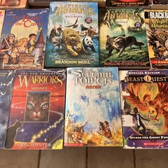 Chapter Books Fantasy-Lot of 18-dragons, Warriors, Narnia, Choose Own Adventure