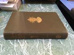 BUREAU OF AMERICAN ETHNOLOGY 22nd Annual Report 1900-01 2 Vol HB Smithsonian