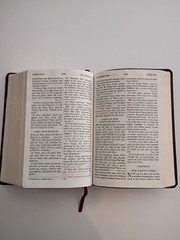 Giant Print Handy Size Bilbe NASB Amg 2011 Burgandy Imitation Leather 1977 ED