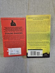 Kay Hooper 2 Book Lot – Stealing Shadows & Hidden Salem
