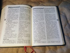 新譯和合聖經 New Chinese Version Union Parallel Bible Worldwide Bible Society