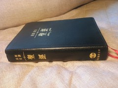 新譯和合聖經 New Chinese Version Union Parallel Bible Worldwide Bible Society