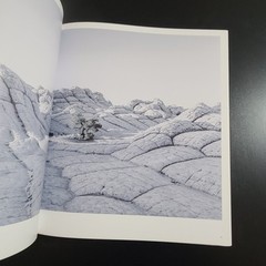 Tom Jacobi Into the Light Hirmer Hardback Coffee Table Book 2018
