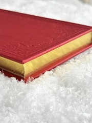 GIFT WRAPPED🎁A Christmas Carol Charles Dickens Silk Binding 1st Edition Replica