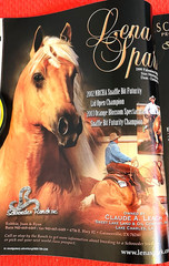 SALE ENDS 6/15! 2008 Quarter Horse Journal STALLION EDITION Book, PEPTOBOONSMAL