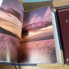 Lot of 5 David Jeremiah Leather Devotional Books Christian Set Leather READ