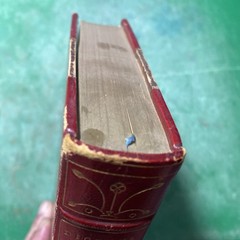 Oliver Twist – Dickens’ Works – [Leather Bound] – 1900 Charles Dickens – Rare