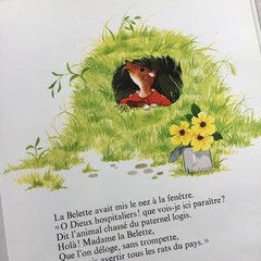French Vintage Picture Book Jean de La Fontaine Fables 22cm Hardcover 24p