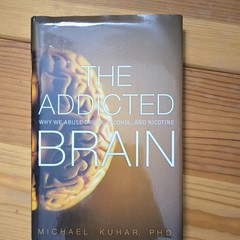 FT Press The Addicted Brain by Michael Kuhar Hardcover Addiction Neuroscience