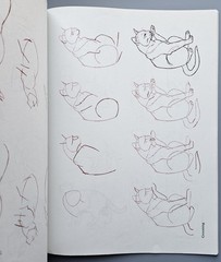 Draw 50 Animals Books Lot Lee J Ames Horses Cats Dogs Step-by-Step Drawing