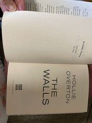 Walls by Hollie Overton (2017, Hardcover)
