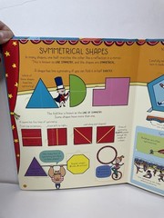 Usborne Math Shapes Lift-the-Flap Hardcover Ages 4-8 Activity Book Illustrated