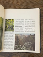 The Grand Canyon The American Wilderness 1973 Time-Life Hardcover 184 Pages