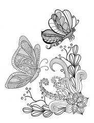 Color the Butterflies Coloring book 108 Pages 8.5 x 11 for All Ages