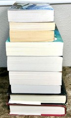 Kristin Hannah Mixed Lot of 9 Books The Women The Four Winds The Nightingale ++