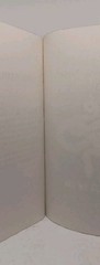 Rina Kent – Hunt The Villain, Walmart Edition, Sprayed Edges, Paperback