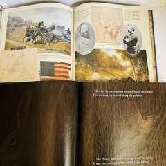 Childrens US History Book Lot 6 Civil War Underground Railroad Lincoln ExLib