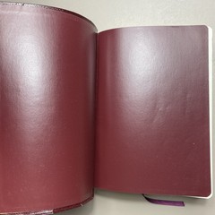 The NIV Study Bible Bonded Leather Red Letter Edition Zondervan 1985 Index Tabs