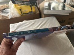 Dinotopia: The World Beneath Br6