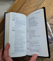 OOP HCSB UltraTrim New Testament w Psalms/Proverbs Checkbook size Bonded Leather