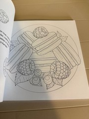 New Seasons Calm Coloring Adult Stress Relief Activity Book