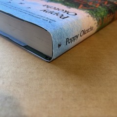 A Wilder Way: How Gardens Grow Us by Poppy Okotcha