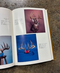 Georgia’s Greatest Whitetails By Duncan Dobie Signed & Inscribed! VG