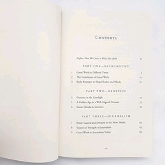 Good Work by Howard Gardner, Mihaly Csikszentmihalyi, William Damon 1ST ED Book