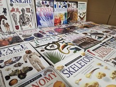 Lot of 10 DK Eyewitness Books Science History Art Animals Homeschool RANDOM Set