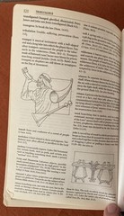 Holy Bible King James Version With Helps Words Of Christ in Red Letter Zondervan