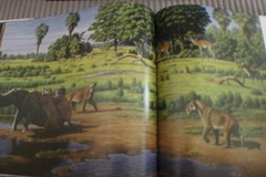 Dinosaur art I & II World’s greatest paleoart by Steve White
