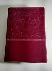 NKJV Study Bible New King James Version, Cranberry Leathersoft, Full-Color 2018