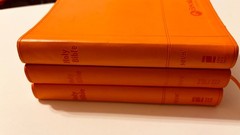 Lot Of 3 Elevation Church Holy Bibles Zondervan NIV: Leathersoft Orange
