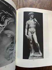 Michelangelo 3 Volume set (Youth, The Medici Chapel, The Tomb of Julius II)