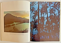 Eternal Hawaii Hardcover Book by Aaron Dygart 128 Pages 1976