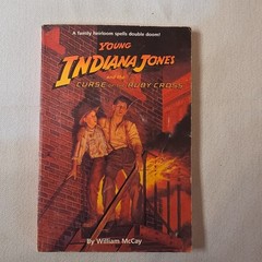 Young Indiana Jones Books Lot 3