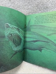 Prehistoric Animals By Peter Zallinger Childrens Book Random House Vintage 1978