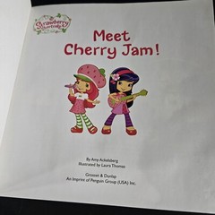 Lot Of 2 Strawberry Shortcake Books From 2010’s