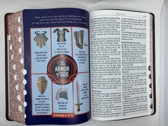KJV Kids Bible, LARGE PRINT 40 Pages Full Color Study Helps, Presentation INDEX