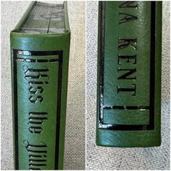 Kiss The Villain By Rina Kent Baddies Book Box Special Edition MM Romance